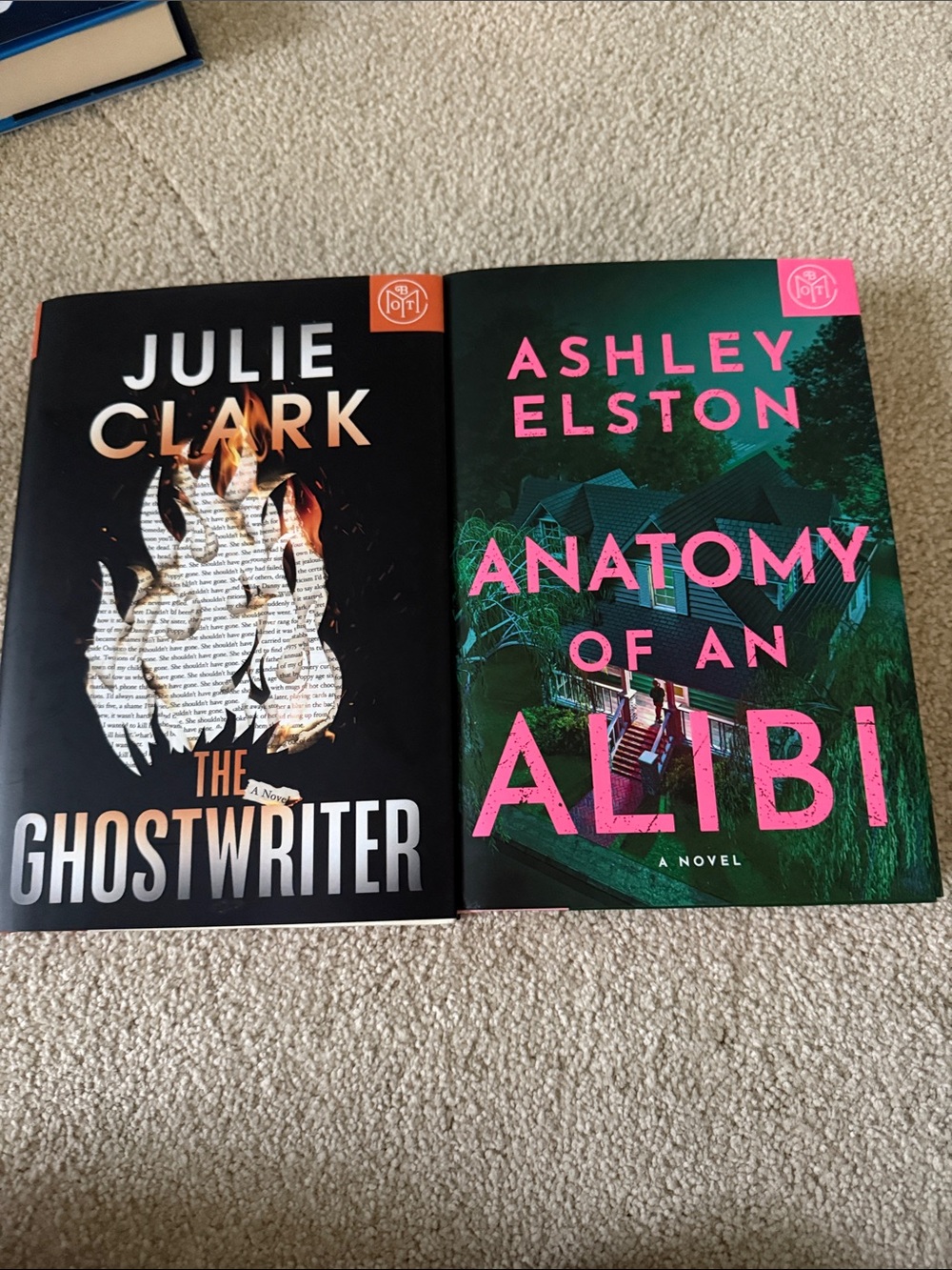 Ashley Elston Anatomy of an Alibi - Green and Pink Hardcover Novel